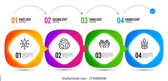 Gluten free, Medical tablet and Face biometrics line icons set. Timeline steps. Leaves sign. Bio ingredients, Medicine pill, Facial recognition. Nature leaf. Healthcare set. Vector