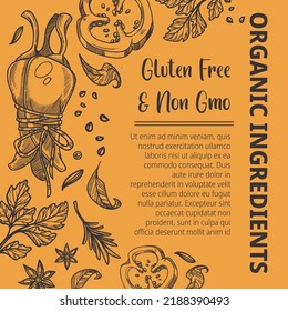 Gluten free and non gmo spices and authentic aromatic blends. Tasty seasoning with organic ingredients and delicious mixture. Paprika and spicy pepper, leaves of dill and parsley. Vector in flat style