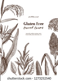 Gluten free plants design. Hand drawn cereal sketches. Detailed vegetarian food illustration. Farm market products. Great for packaging, menu, label.