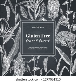 Gluten free plants design. Hand drawn cereal crops sketches. High detailed vegetarian food illustration. Isolated farm market products. Great for packaging, menu, label. On chalkboard.