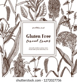 Gluten free plants design template. Hand drawn cereal crops sketches. High detailed vegetarian food illustration. Isolated farm market products. Great for packaging, menu, label.