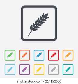 Gluten free sign icon. No gluten symbol. Round squares buttons with frame. Vector