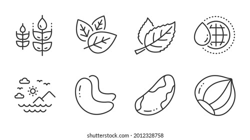 Gluten free, World water and Leaf line icons set. Sea mountains, Brazil nut and Organic tested signs. Cashew nut, Hazelnut symbols. Bio ingredients, Aqua drop, Nature leaves. Nature set. Vector