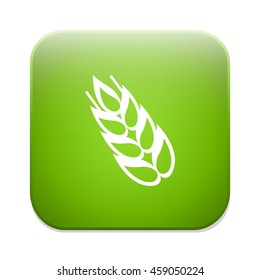 Gluten icon