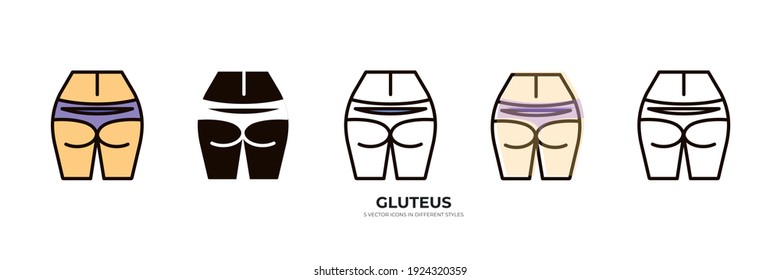 GLUTEUS muscles vector type icon