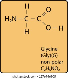 Glycine Amino Acid Molecule Skeletal Structure