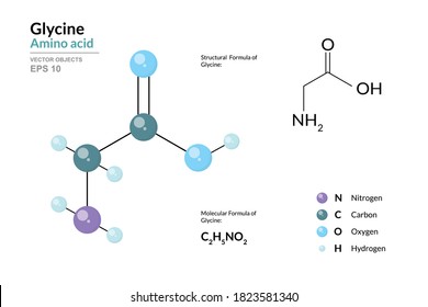 h2nch2cooh lewis structure glycine