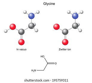 Glycine (Gly) - chemical structural formula and models, amino acid, in vacuo, zwitterion, 2D and 3D illustration, balls and sticks, isolated on white background, vector, eps8