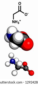 Glycine (Gly, G) amino acid, molecular model. Amino acids are the building blocks of all proteins. Atoms are represented as spheres with conventional color coding: hydrogen (white), carbon (grey), etc