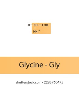 Glycine - Gly - G amino acid structure. Skeletal formula with amino group highlighted in orange. Scientific illustration.