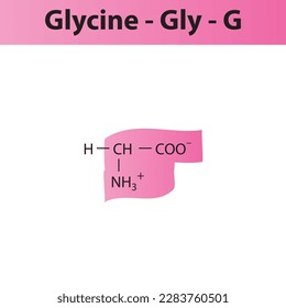 Glycine - Gly - G amino acid structure. Skeletal formula with amino group highlighted in pink marker. Scientific illustration.