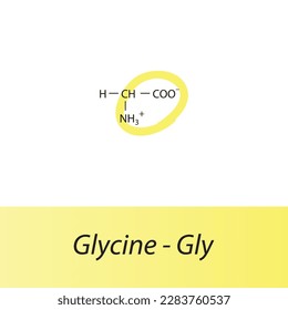 Glycine - Gly - G amino acid structure. Skeletal formula with amino group highlighted in yellow marker. Scientific illustration.