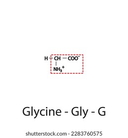 Glycine - Gly - G amino acid structure. Skeletal formula with amino group highlighted in red frame. Scientific illustration.