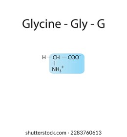 Glycine - Gly - G amino acid structure. Skeletal formula with amino group highlighted in blue. Scientific illustration.