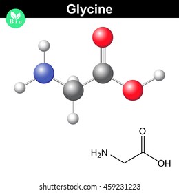 Glycine - main amino acid and inhibitory neurotransmitter, chemical model and molecular structure, 2d and 3d illustration, vector, eps 8