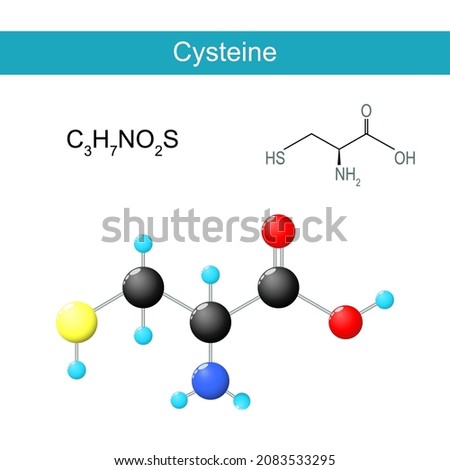 Glycine molecular formula. Chemical structural formula and model of a proteinogenic nonessential amino acid. E920. Vector illustration
