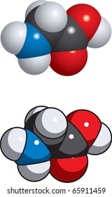 Glycine molecule