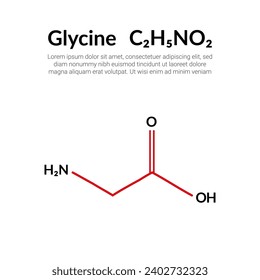 Glycine (symbol Gly) C2H5NO2 amino acid, molecular structural chemical formula, suitable for education or chemistry science content. Vector illustration