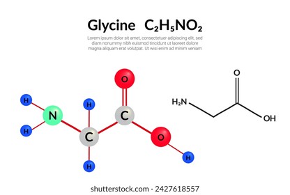 Glycine (symbol Gly) C2H5NO2 amino acid, molecular structural chemical formula, ball-and-stick model, suitable for education or chemistry science content. Vector illustration