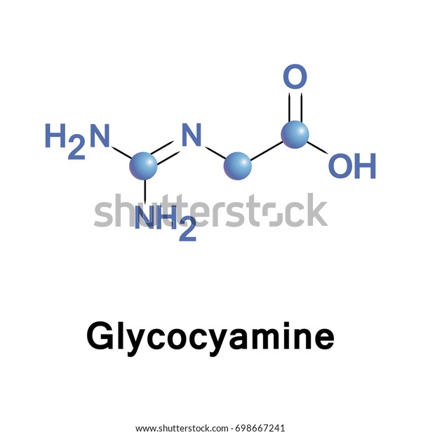 Glycocyamine Metabolite Glycine Which Amino Group Stock Vector Royalty Free