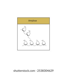 Glycogen skeletal structure diagram.Polysaccharide compound molecule scientific illustration.