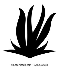 
glyph icon vector of acroporidae coral reef
