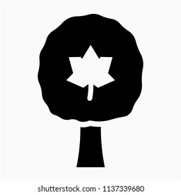 Glyph Maple tree vector icon