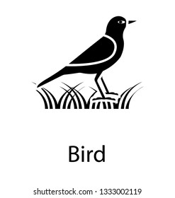 Glyph vector icon of bird.