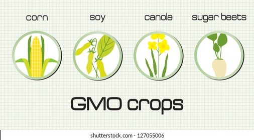 GMO Crops, The Most Disseminated On The Green Background