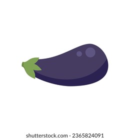 Gmo eggplant icon flat vector. Research test. Biology fruit isolated