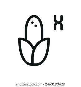 GMO maize isolated icon, genetically modified corn vector symbol with editable stroke