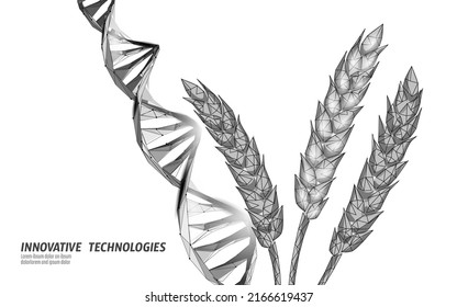 GMO wheat gene modified plant. Science chemistry biology genetics engineering innovation organic eco food technology 3D render banner vector illustration