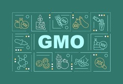 GMO word concepts dark green banner. Genetically modified organism. Infographics with icons on color background. Isolated typography. Vector illustration with text. Arial-Black font used
