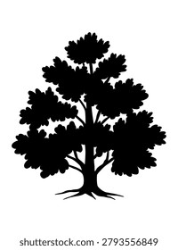 Gnarled bonsai silhouette twisting into form, compact trunk and sculptural branches suggesting age and careful cultivation, ornamental presence with dramatic contrast