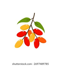Gnetum gnemon Plant Vector Illustration with Fresh Green Leaves, Also Known as Melinjo Tree