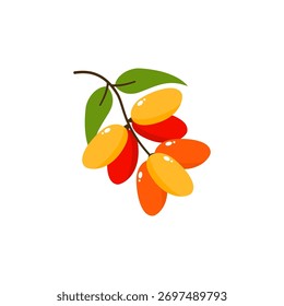 Gnetum gnemon Plant Vector Illustration with Fresh Green Leaves, Also Known as Melinjo Tree