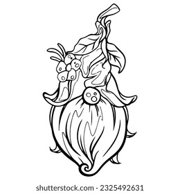 Gnome, black and white stripes on the white background Is a vector image Suitable for coloring Or general lines