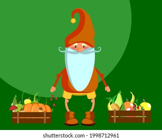 Gnome with a boxes of fruits and vegetables. Vector illustration for design, prints and posters.