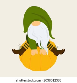 A gnome in a green cap and with a long beard is sitting on a big pumpkin. Vector illustration.