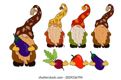 Gnomes in autumn hats and with vegetables in their hands. Illustration constructor. A set of gnomes and additional items.