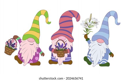 The gnomes are holding baskets with Hyacinthus and a bouquet of white lilies. Vector illustration