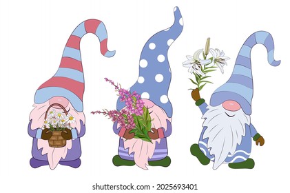 The gnomes are holding fireweed flowers, lilies and chamomile in a basket. Vector illustration