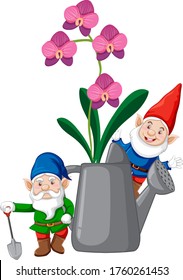 Gnomes with orchids in watering can cartoon style on white background illustration