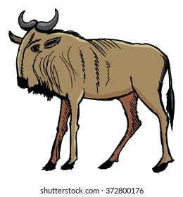 gnu, illustration of african animal