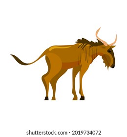 Gnu Wildebeest animal african, wildlife creature. Vector illustration cartoon style isolated