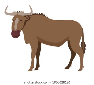 Gnu Wildebeest isolated on a white background. African wildlife animal. Vector Illustration