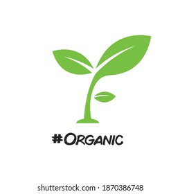 Go green concept. Organic environment. Plant icon isolated in white. Good for sticker, icon, background.