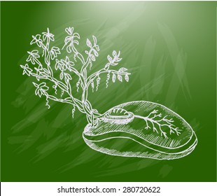 go green concept, sketch