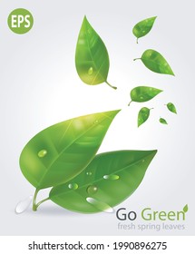 go green. fresh spring leaves. illustration banner, poster, flyer