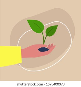 Go green, light-skinned hand holding a plant sprout, sustainability and responsibility, eco friendly behaviour